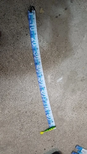 Waterproof Foldable Fish Measuring Ruler – Compact, Durable Tape Sticker for Freshwater & Saltwater photo review