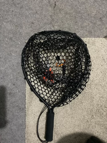 Ultralight Aluminum Fishing Net with Silicone Mesh photo review