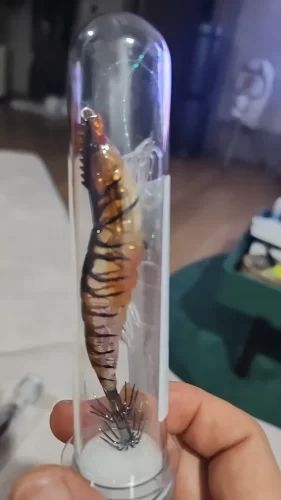Luminous Squid Jig – Sinking EGI Octopus/Wood Shrimp Bait for Night Sea Fishing photo review