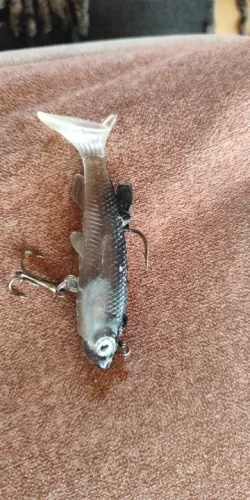 Soft Rubber Swimbait Lure – 75mm / 85mm Curly T-Tail Sinking Bait for Bass, Pike & More photo review