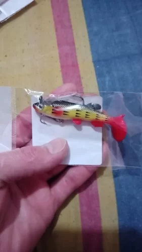 Soft Rubber Swimbait Lure – 75mm / 85mm Curly T-Tail Sinking Bait for Bass, Pike & More photo review