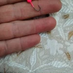 50pcs Jig Head Fishing Hook Set – Barbed Hooks (0.4g–2g) for Freshwater & Saltwater Lures photo review