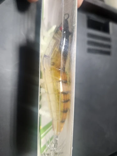 Luminous Squid Jig – Sinking EGI Octopus/Wood Shrimp Bait for Night Sea Fishing photo review