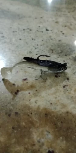 Soft Rubber Swimbait Lure – 75mm / 85mm Curly T-Tail Sinking Bait for Bass, Pike & More photo review