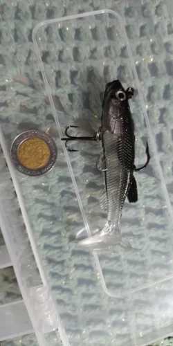 Soft Rubber Swimbait Lure – 75mm / 85mm Curly T-Tail Sinking Bait for Bass, Pike & More photo review
