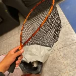 Ultralight Aluminum Fishing Net with Silicone Mesh photo review