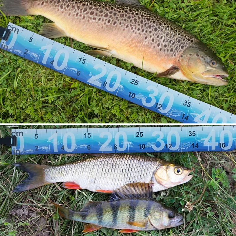 Waterproof Foldable Fish Measuring Ruler – Compact, Durable Tape Sticker for Freshwater & Saltwater - Image 5