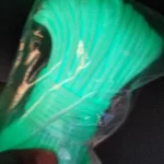 Luminous Paracord – 9-Strand Fluorescent Nylon Rope for Outdoor, Camping & Survival photo review