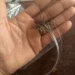 10-Pack Fluorocarbon Fishing Leaders – 20lb / 50lb Line with Swivels & Snaps photo review