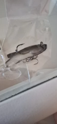 Soft Rubber Swimbait Lure – 75mm / 85mm Curly T-Tail Sinking Bait for Bass, Pike & More photo review