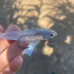 Soft Rubber Swimbait Lure – 75mm / 85mm Curly T-Tail Sinking Bait for Bass, Pike & More photo review