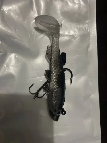 Soft Rubber Swimbait Lure – 75mm / 85mm Curly T-Tail Sinking Bait for Bass, Pike & More photo review