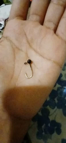 50pcs Jig Head Fishing Hook Set – Barbed Hooks (0.4g–2g) for Freshwater & Saltwater Lures photo review