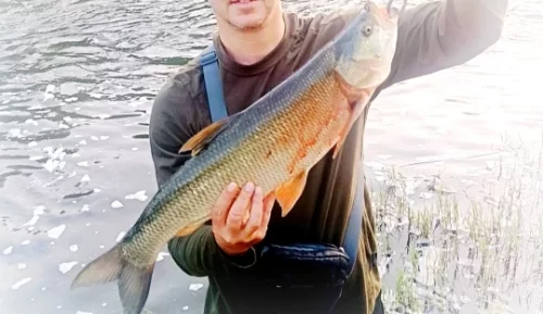 BEARKING hot model 70mm 5.2g professional quality magent weight fishing lures minnow crank Artificial Bait Tackle photo review