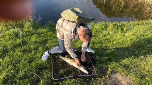 10-Pack Fluorocarbon Fishing Leaders – 20lb / 50lb Line with Swivels & Snaps photo review