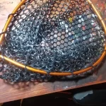 Ultralight Aluminum Fishing Net with Silicone Mesh photo review