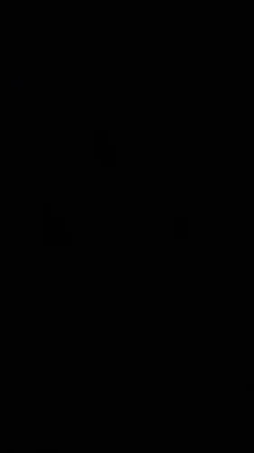 Large Capacity  Nylon Tote Bag photo review