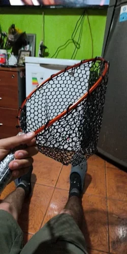 Ultralight Aluminum Fishing Net with Silicone Mesh photo review