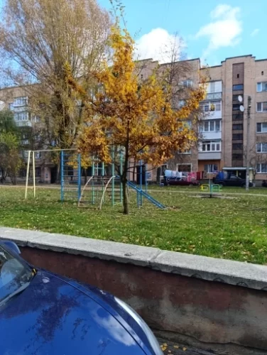 10-Pack Fluorocarbon Fishing Leaders – 20lb / 50lb Line with Swivels & Snaps photo review