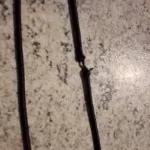 Ultralight Aluminum Fishing Net with Silicone Mesh photo review