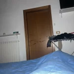 Sunglass Case with Carabiner Hook Colorful Sunglasses Hard Case Zipper Eyeglasses and Sunglass Holder photo review