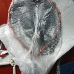 Ultralight Aluminum Fishing Net with Silicone Mesh photo review