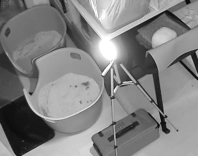 5000Mah LED Camping Tent Light Rechargeable Outdoor Emergency Lighting Waterproof Portable Hanging Night Lamps Camping Lighting photo review