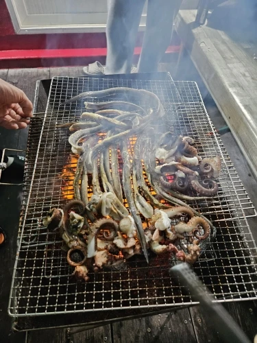 5000Mah LED Camping Tent Light Rechargeable Outdoor Emergency Lighting Waterproof Portable Hanging Night Lamps Camping Lighting photo review