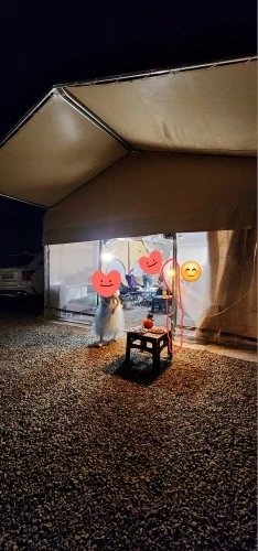 5000Mah LED Camping Tent Light Rechargeable Outdoor Emergency Lighting Waterproof Portable Hanging Night Lamps Camping Lighting photo review