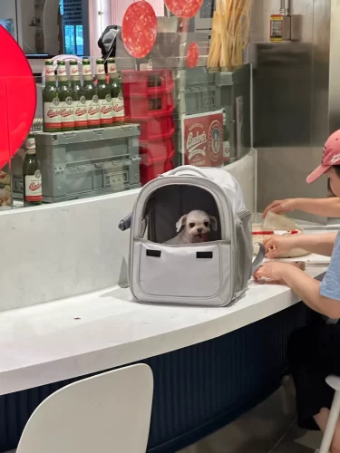 5000Mah LED Camping Tent Light Rechargeable Outdoor Emergency Lighting Waterproof Portable Hanging Night Lamps Camping Lighting photo review